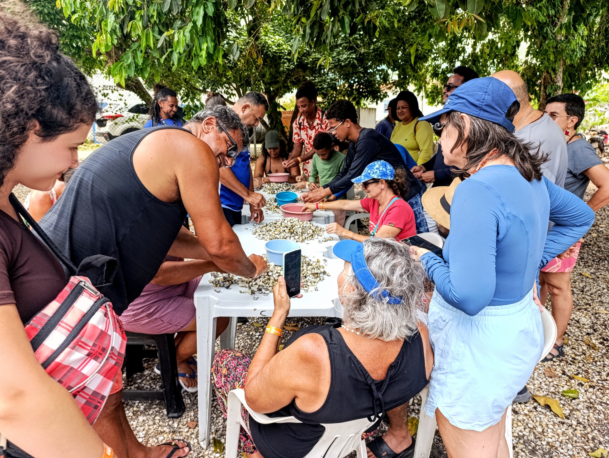 IMG_20260124_114341~2