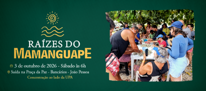 Artes site - Apuama 1